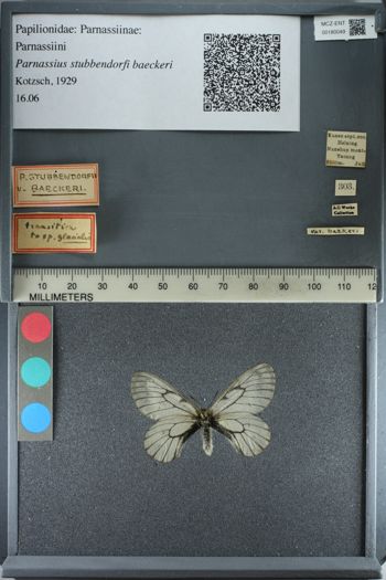 Media type: image;   Entomology 180049